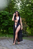 Sexy Cat-Eye Sunglasses cu strasuri